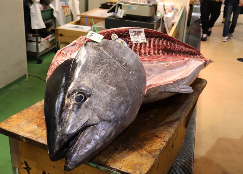 Tokyo Tsukiji Half-Day Private Food Tour - Tsukiji at a glance