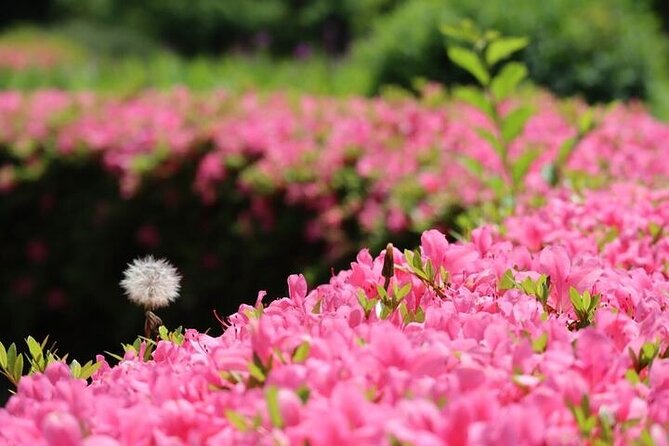 Tokyo Tsukiji & Hamarikyu Gardens Wellness Tour – Walk and Relax - Meeting Point Information