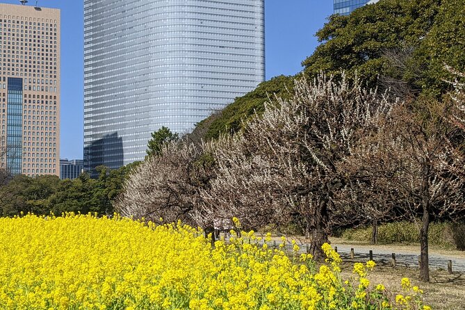 Tokyo Tsukiji & Hamarikyu Gardens Wellness Tour – Walk and Relax - Accessibility Details
