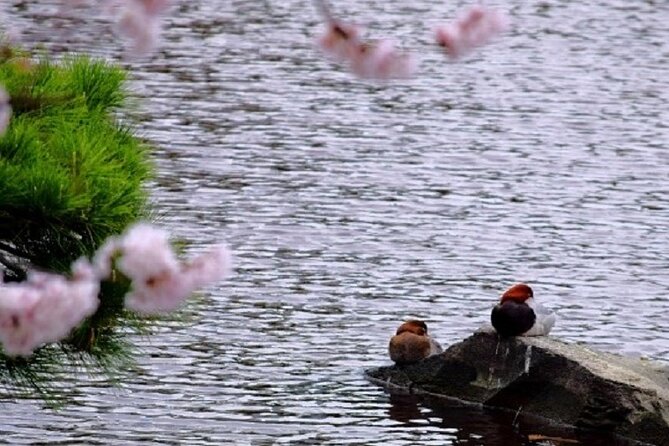 Tokyo Tsukiji & Hamarikyu Gardens Wellness Tour – Walk and Relax - Cancellation Policy