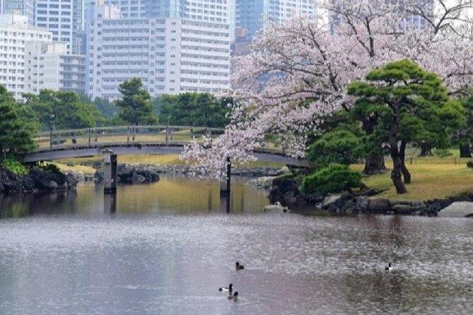 Tokyo Tsukiji & Hamarikyu Gardens Wellness Tour – Walk and Relax - Frequently Asked Questions