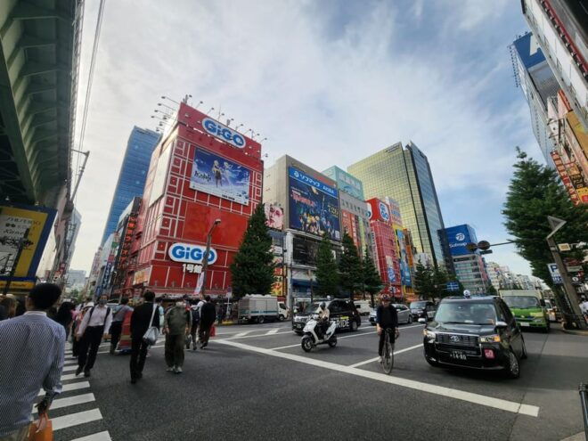 Tokyo: Tsukiji Market, Senso-ji Temple, and Akihabara Tour - Shopping at Nakamise Street