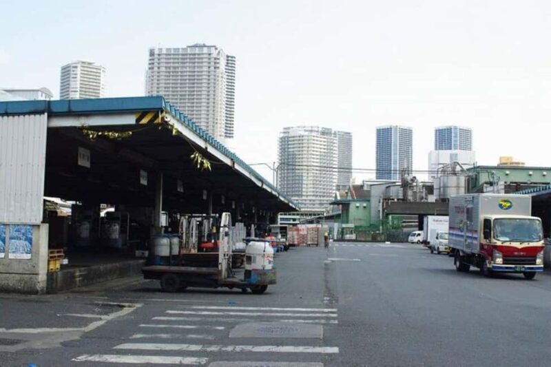 Tokyo: Tuna Auction in Toyosu and Tsukiji Fish Market Tour - Final Thoughts