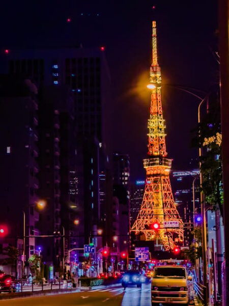Tokyo: Twilight Expedition Car Tour – Nighttime City Cruise! - Tips for a Great Experience