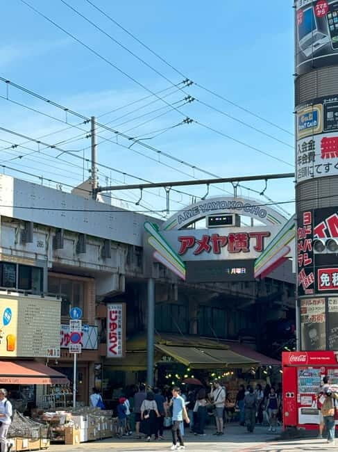 Tokyo: Ueno Park and Ameyoko Street Walking Tour - An In-Depth Look at the Ueno & Ameyoko Tour