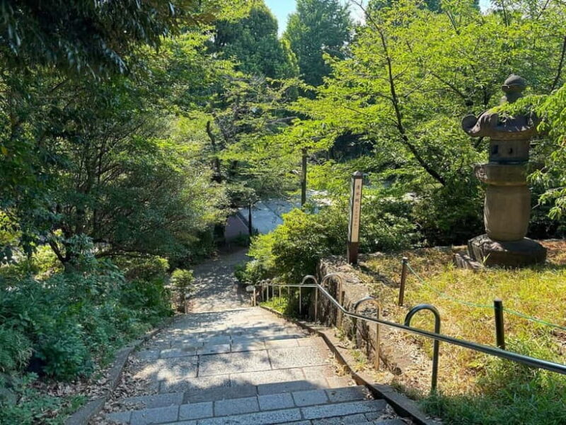 Tokyo: Ueno Park and Ameyoko Street Walking Tour - FAQs about the Ueno Park and Ameyoko Street Walking Tour