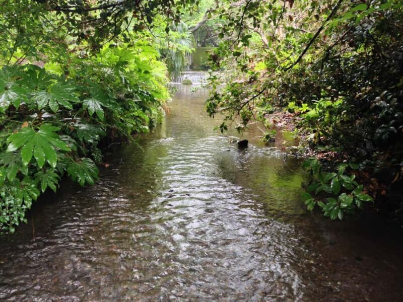 Tokyo: Ultimate Spa Japon Retreat & Kurome River Stroll - Authentic and Practical Insights