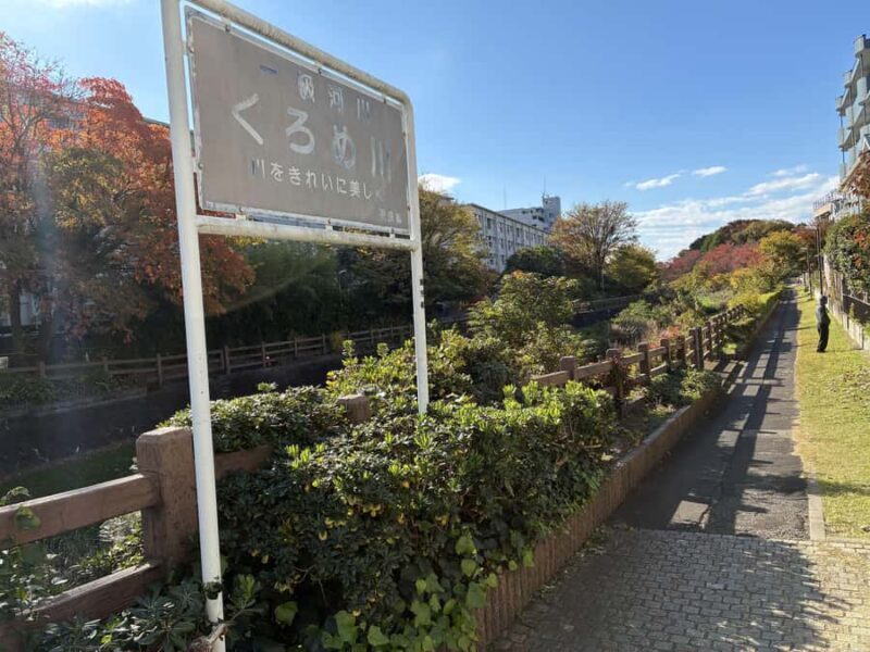 Tokyo: Ultimate Spa Japon Retreat & Kurome River Stroll - Who This Tour Is Best For