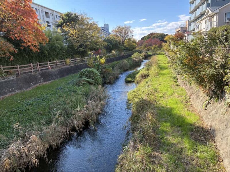 Tokyo: Ultimate Spa Japon Retreat & Kurome River Stroll - FAQ