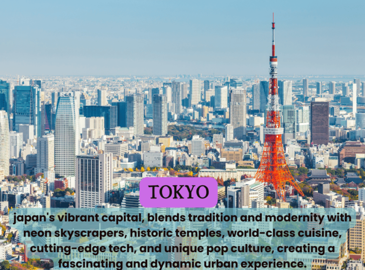 Tokyo Unforgettable Private Tour for Family(Up-To 6 Persons) - Highlights of the Itinerary