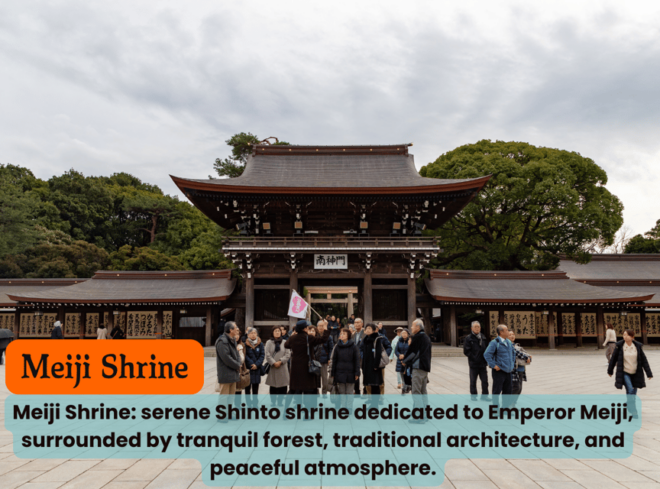 Tokyo Unforgettable Private Tour for Family(Up-To 6 Persons) - Recommendations for Travelers