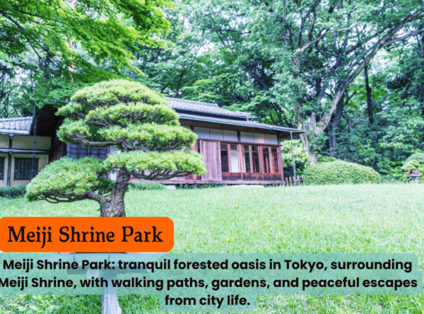Tokyo Unforgettable Private Tour for Family(Up-To 6 Persons) - Cancellation Policy Details