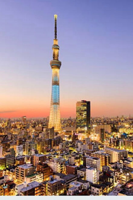 Tokyo Unforgettable Private Tour for Family(Up-To 6 Persons) - Transportation Options