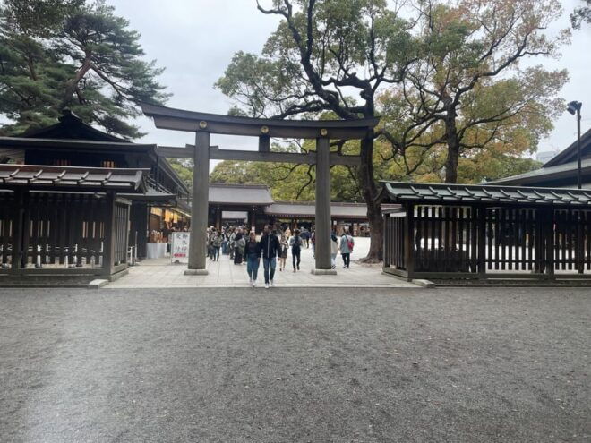 Tokyo Unforgettable Private Tour for Family(Up-To 6 Persons) - Customization Features