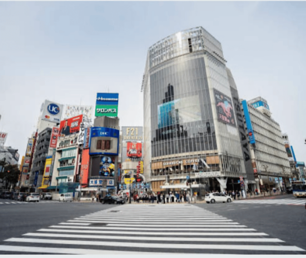 Tokyo Unforgettable Private Tour for Family(Up-To 6 Persons) - Customer Reviews