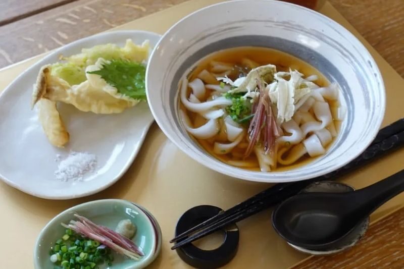 Tokyo - Vegan & Gluten Free Udon Noodle Cooking Class - At a glance