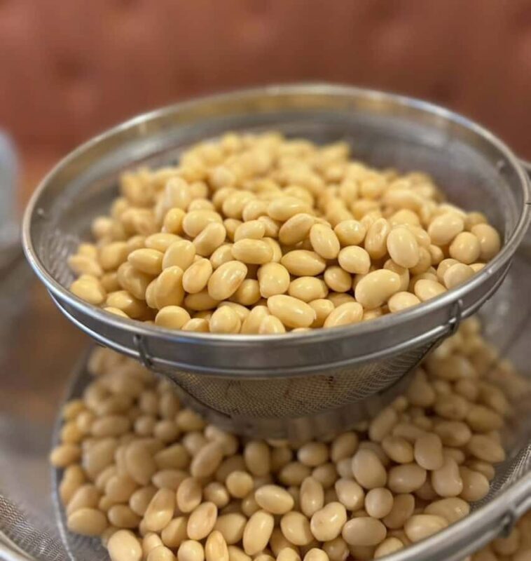 Tokyo Vegan: Tofu - Making Class from a Historic Tofu Shop - An Insightful Look at the Tofu-Making Workshop