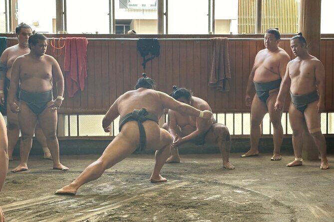 Tokyo: Visit Sumo Morning Practice with English Guide - Who Is This Tour Best For?