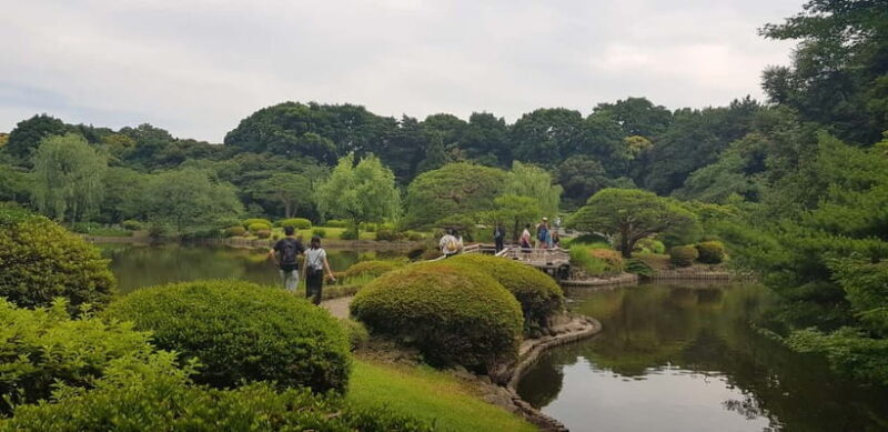 Tokyo Walk through: Shinjuku, Harajuku, Omotesando & Shibuya - An In-Depth Look at the Tour Experience
