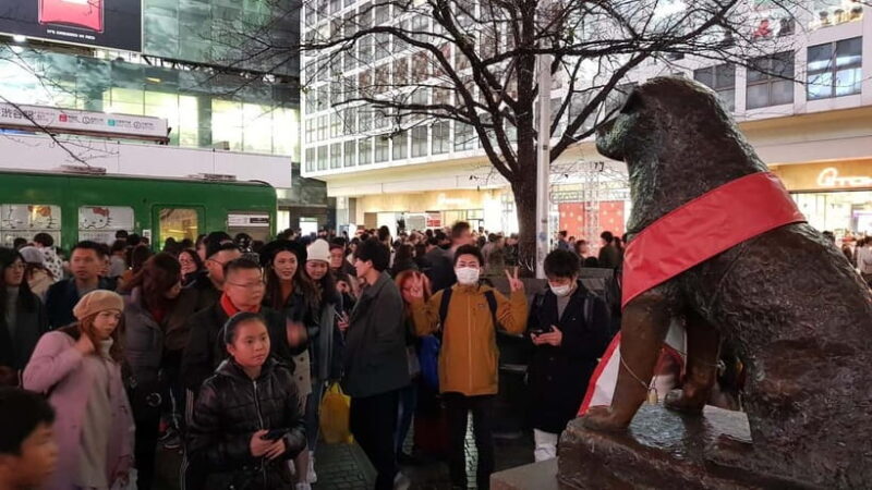 Tokyo Walk through: Shinjuku, Harajuku, Omotesando & Shibuya - Who Will Love This Tour?