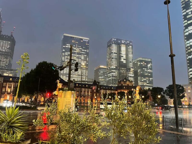 Tokyo: Walking City Highlights Tour with Spanish Guide - Who Will Love This Tour?