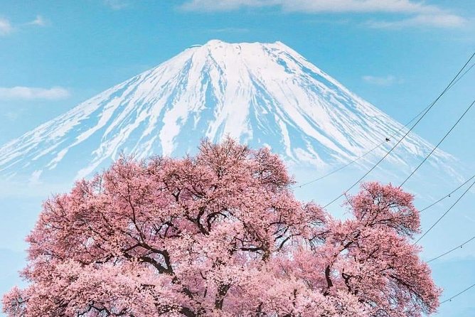 Tokyo Walking Tour 6 Hours (Tsukuji Fish Market, Asakusa, Ginza, Imperial Palace - Tsukiji Fish Market - Explore the Vibrant Fish Market