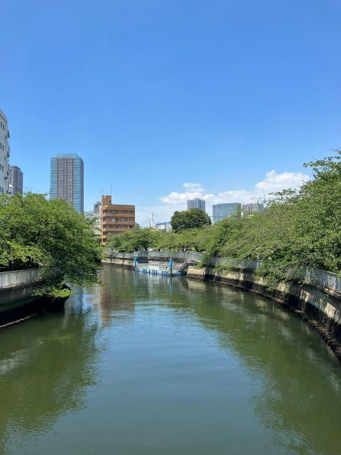 Tokyo: Walking Tour in Shitamachi With a Local Incl 1 Drink - Experience