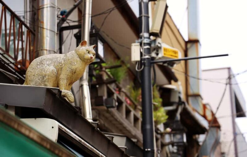 Tokyo: Walking Tour of Historic Shopping Streets - What to Expect During Your Tour