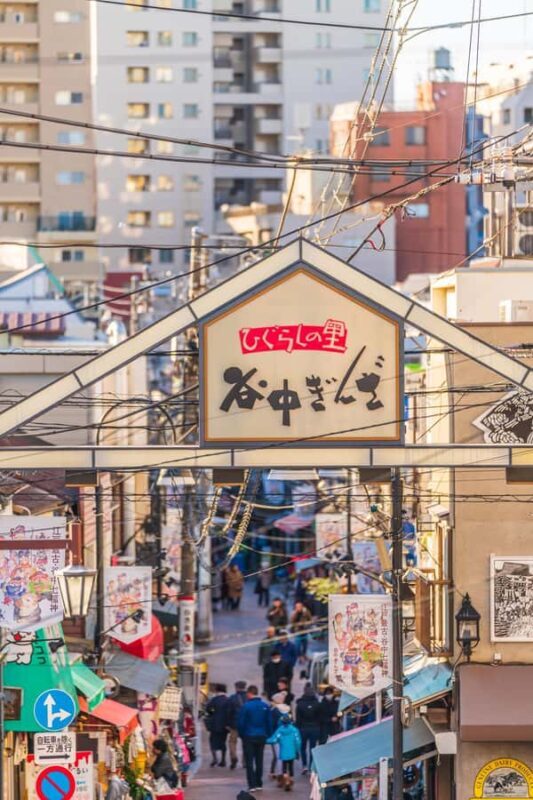 Tokyo: Walking Tour of Historic Shopping Streets - Final Words: Who Will Love This Tour?