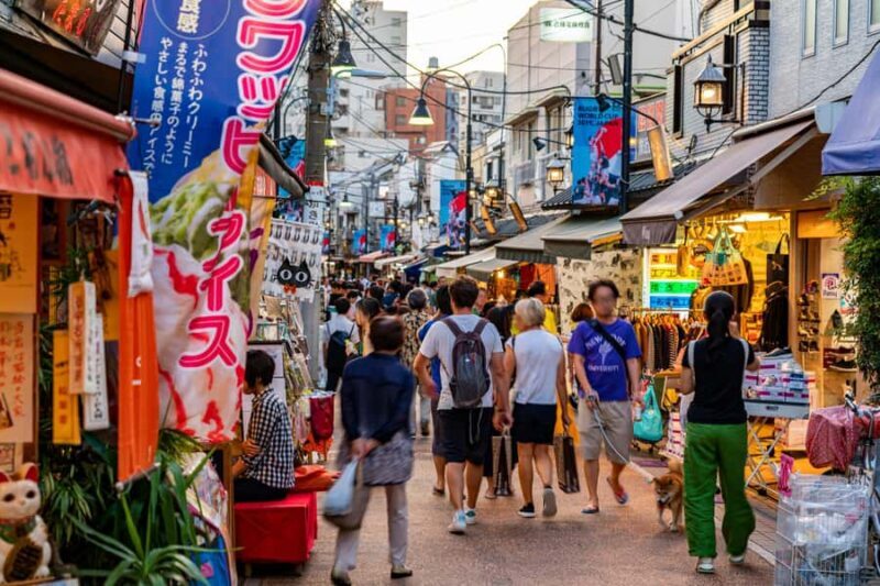 Tokyo: Walking Tour of Historic Shopping Streets - Practical Tips for Participants