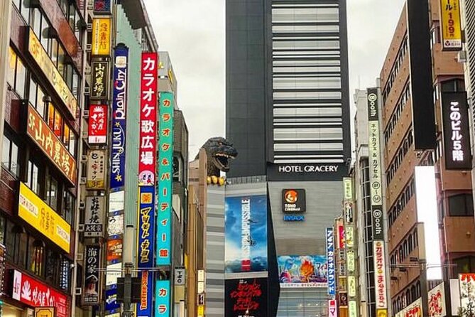 Tokyo Walking Tour With a Local Guide - Additional Information for Travelers