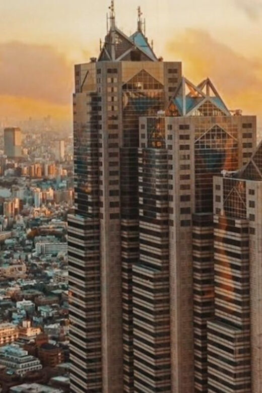 Tokyo Walking Tour with Licensed Guide Shinjuku - Good To Know