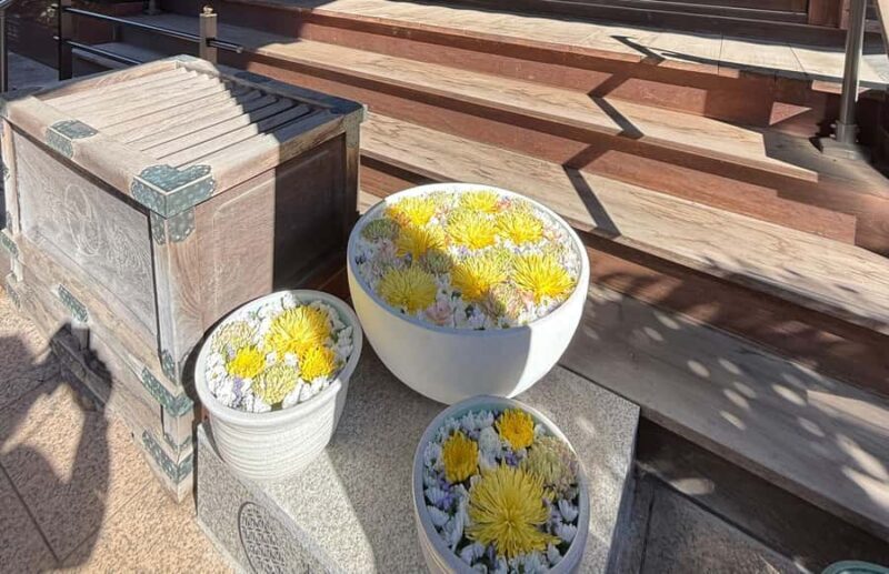 Tokyo Waseda Walk :A Hidden Shrine, Temple & Literary Garden - Practical Details & What To Expect