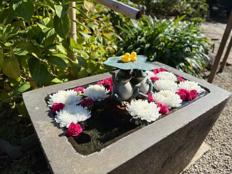 Tokyo Waseda Walk :A Hidden Shrine, Temple & Literary Garden - Who Is This Tour Best For?