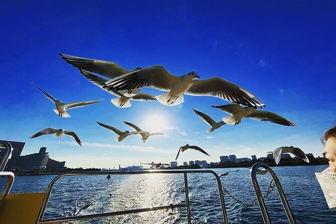 Tokyo Water Taxi Heritage Tour - Tour Highlights