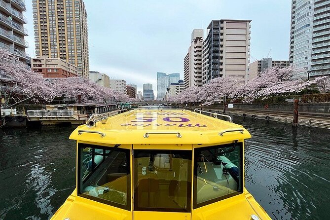Tokyo Water Taxi Heritage Tour - Water Taxi Experience