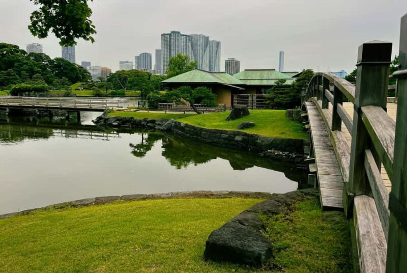 Tokyo Waterfront Tour: Tsukiji Market & Bay Area 3.5 Hrs - Good To Know