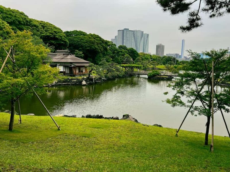 Tokyo Waterfront Tour: Tsukiji Market & Bay Area 3.5 Hrs - A Closer Look at the Itinerary and Highlights