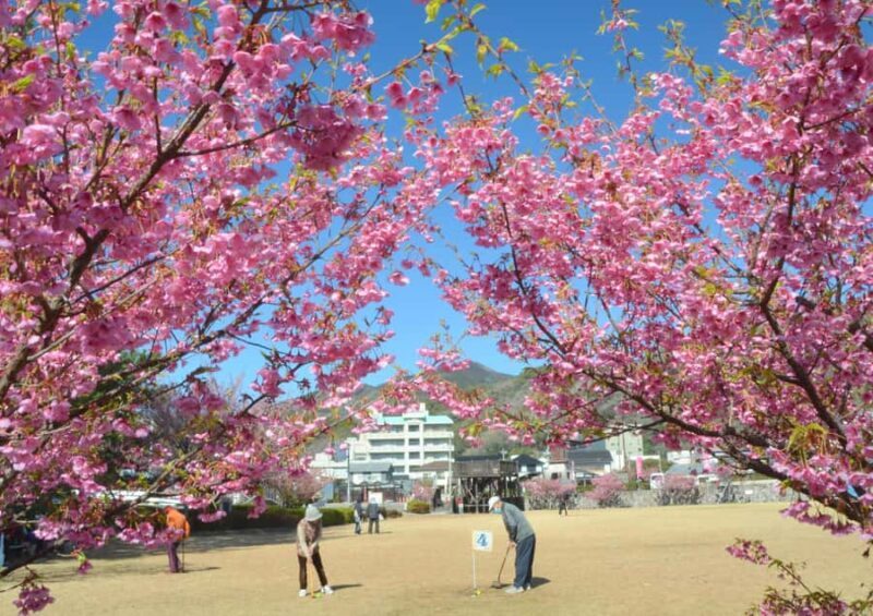 Tokyo: West Izu Day Trip - An Inviting Introduction to West Izu