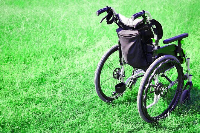 Tokyo Wheelchair-Friendly Custom Day Tour: Asakusa, Tsukiji - The Sum Up