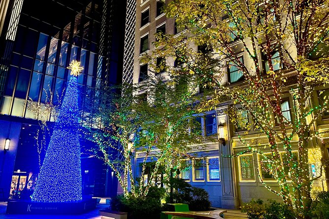 Tokyo Winter Illumination Tour - How to Plan Your Tokyo Winter Illumination Tour