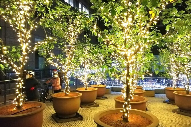 Tokyo Winter Illumination Tour - Safety Precautions and Important Information