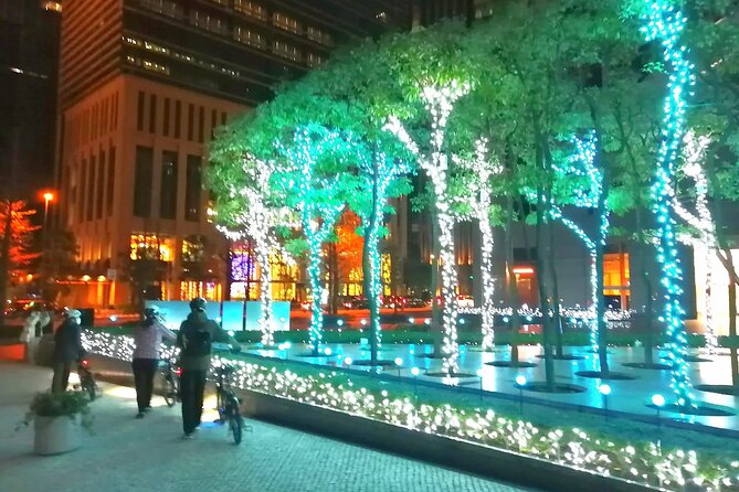 Tokyo Winter Illumination Tour - Common Questions