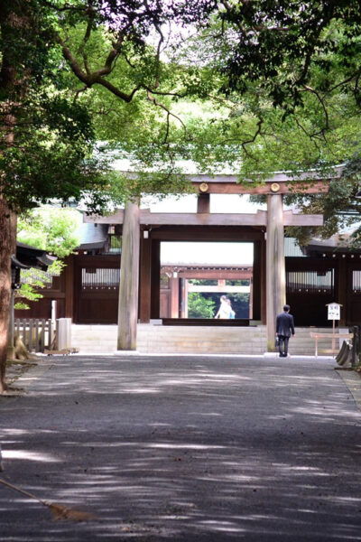 Tokyo: With Private Car Personalized Private 6-Hour Tour - Important Travel Information