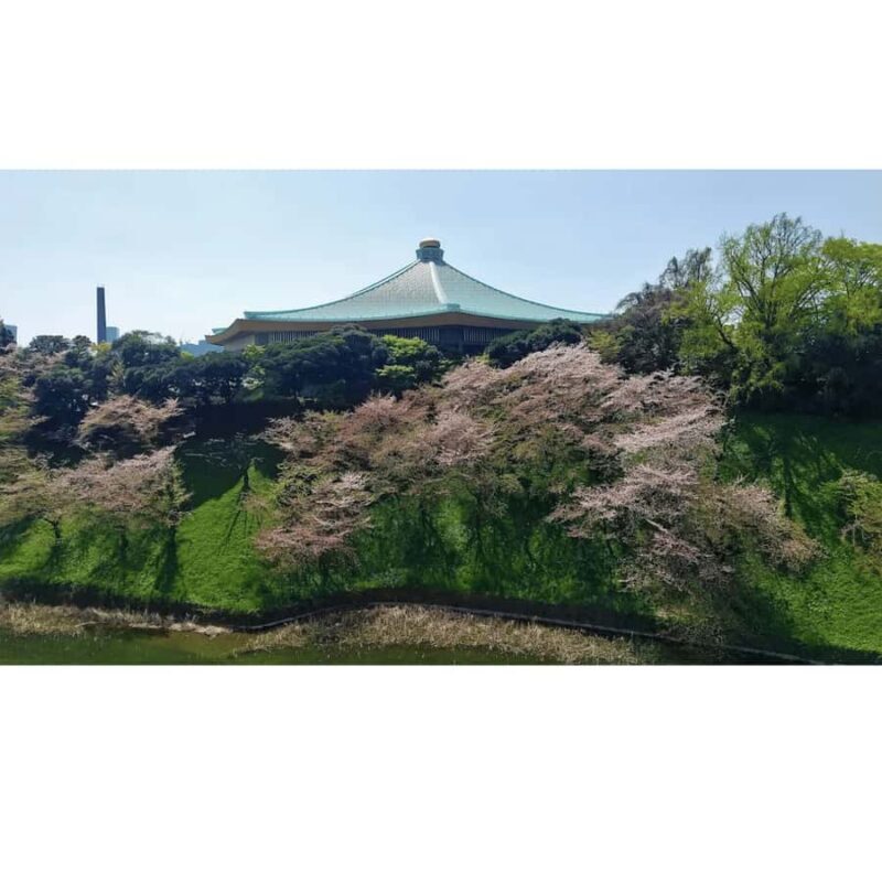 Tokyo WWII: Kamikaze Secrets, Samurai Spirit & Zero Fighter - Analyzing the Value