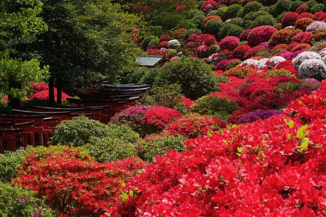Tokyo: Yanaka and Ueno, the Tokyo of Tradition - Who Would Love This Tour?