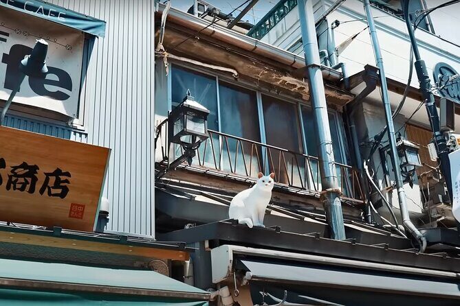 Tokyo: Yanaka and Ueno, the Tokyo of Tradition - FAQ