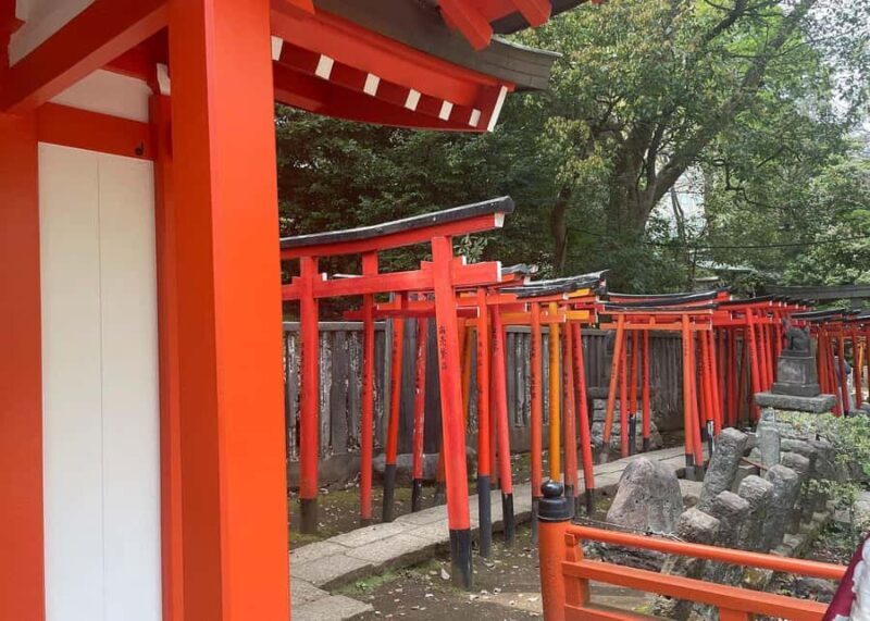 Tokyo: Yanaka and Ueno Walking Tour with Beer - Good To Know