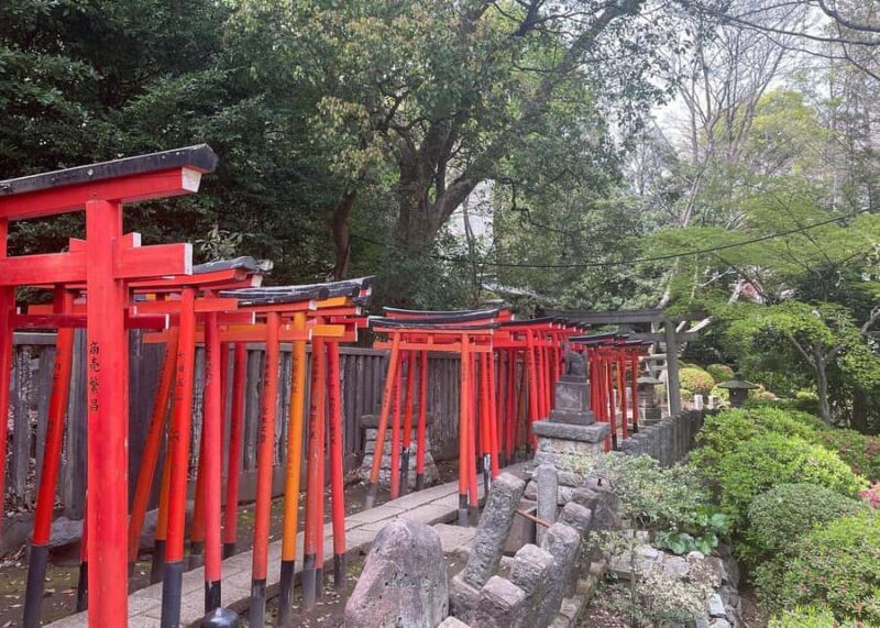 Tokyo: Yanaka and Ueno Walking Tour with Beer - Authenticity and Experience: What Makes This Tour Stand Out?