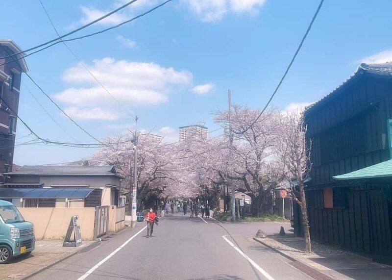 Tokyo: Yanaka and Ueno Walking Tour with Beer - Good To Know
